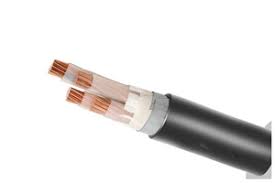 East Africa 10mm 2 core Armoured Cable