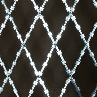 Razor wire mesh